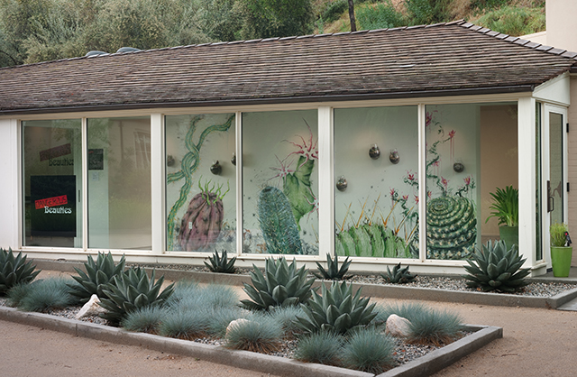 Mike Licari mural, custom terrariums & outside garden. Courtesy Sturt Haaga Gallery